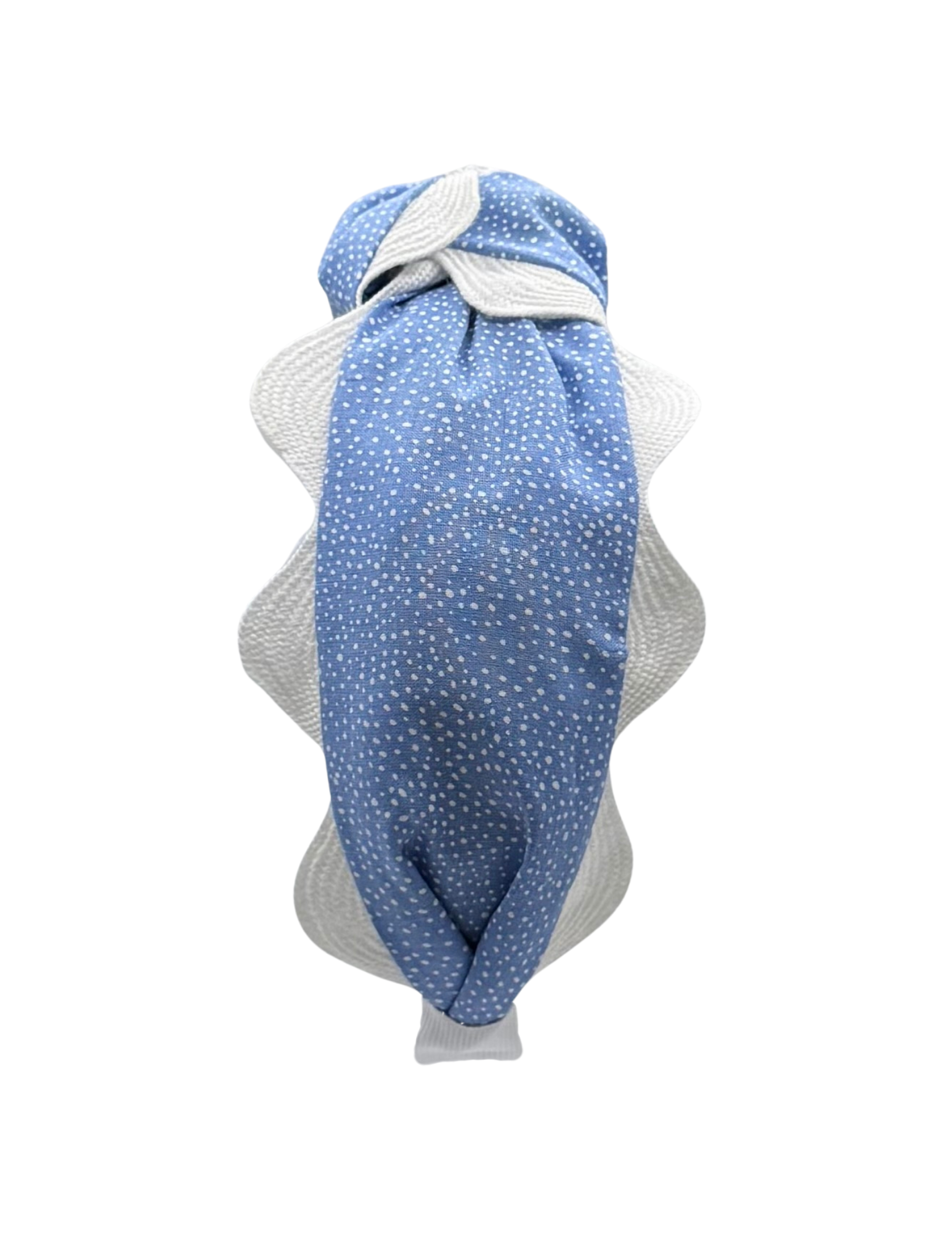 Dotted Periwinkle with Large White Scallop