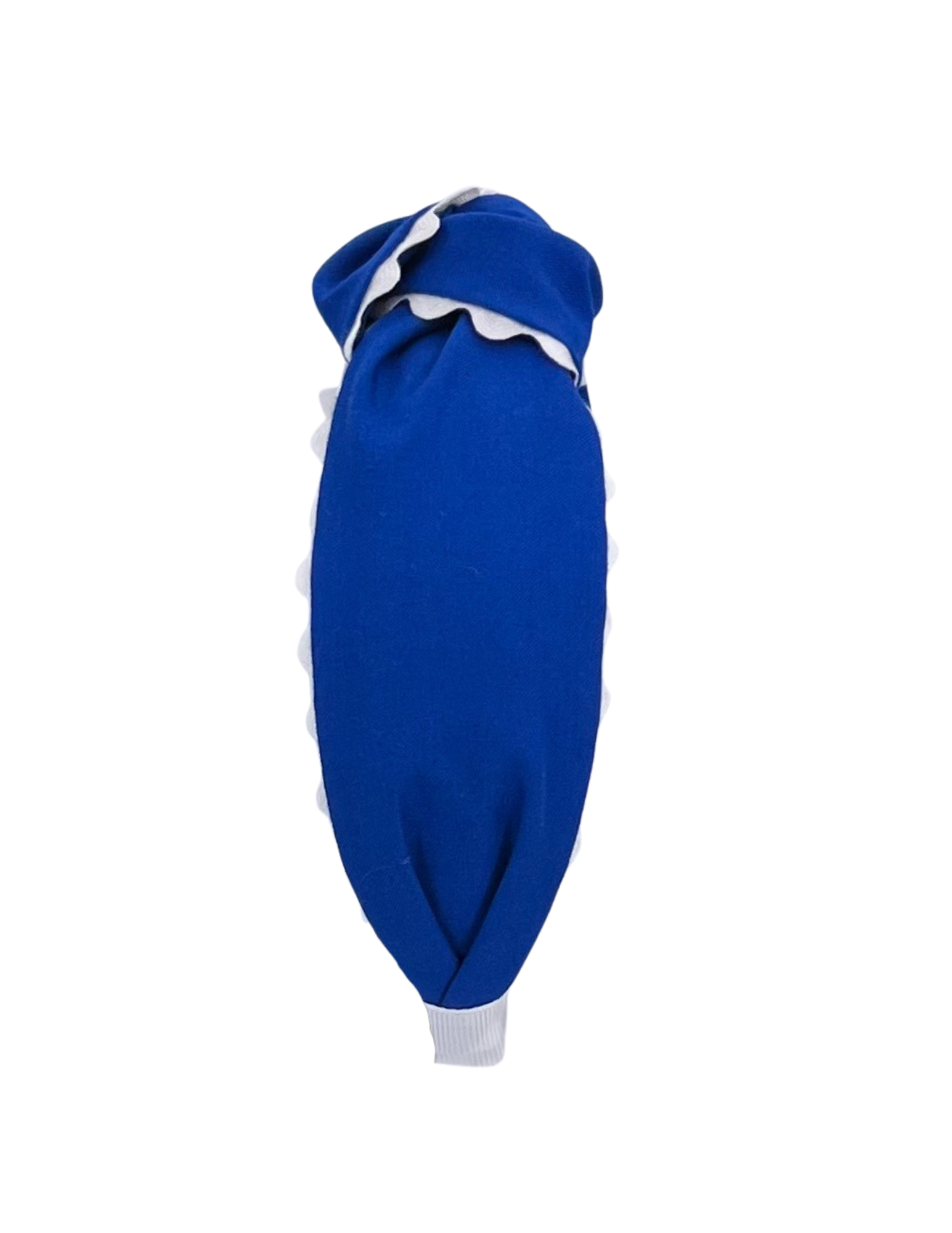 White Scallop on Royal Blue